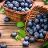 Boreal Bites Foods Blueberry