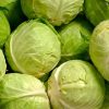 Boreal Bites Foods Canada Cabbage