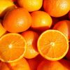 Boreal Bites Foods Canada Orange