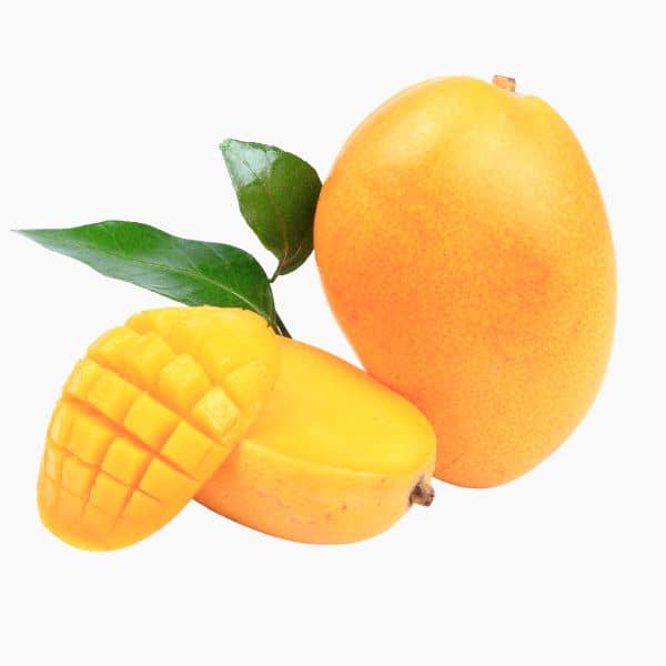 Boreal Bites Foods Mango
