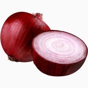 Boreal Bites Foods Onion