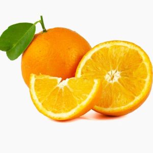 Boreal Bites Foods Orange