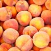 Boreal Bites Foods Peach